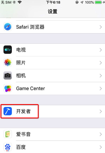 iphone_settings_developer