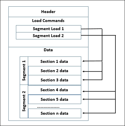 macho_layout_detail_line