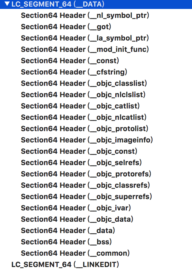 machoview_data_segment_more
