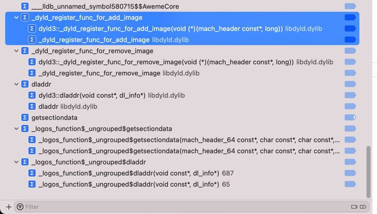 xcode_dis_br_dyld_reg_func