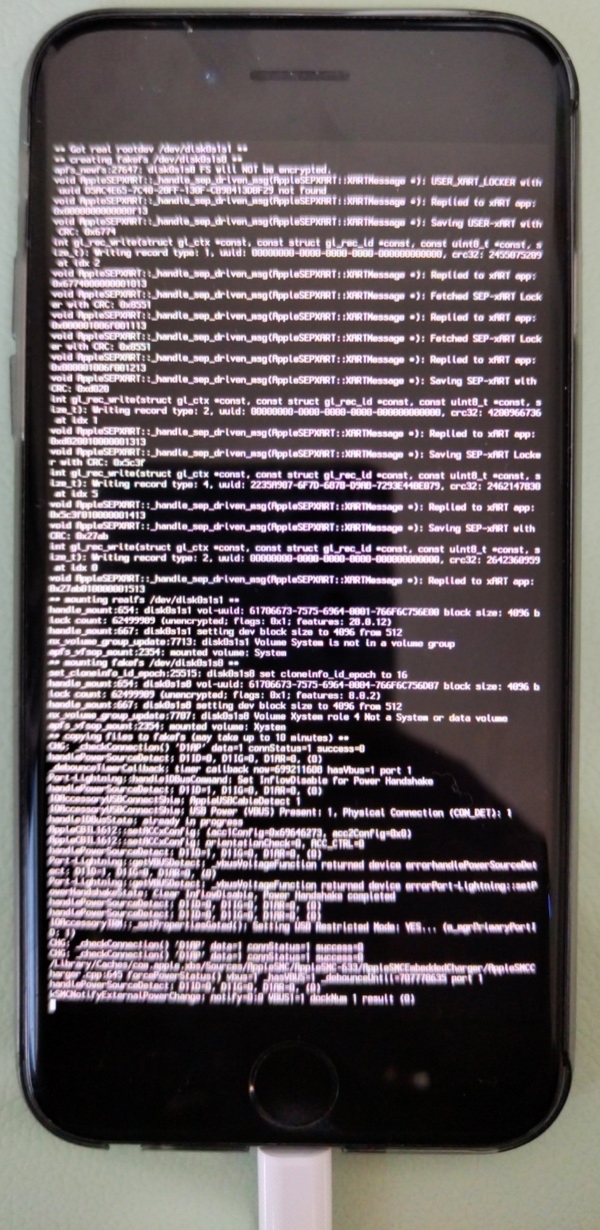 palera1n_jailbreaking_log_start