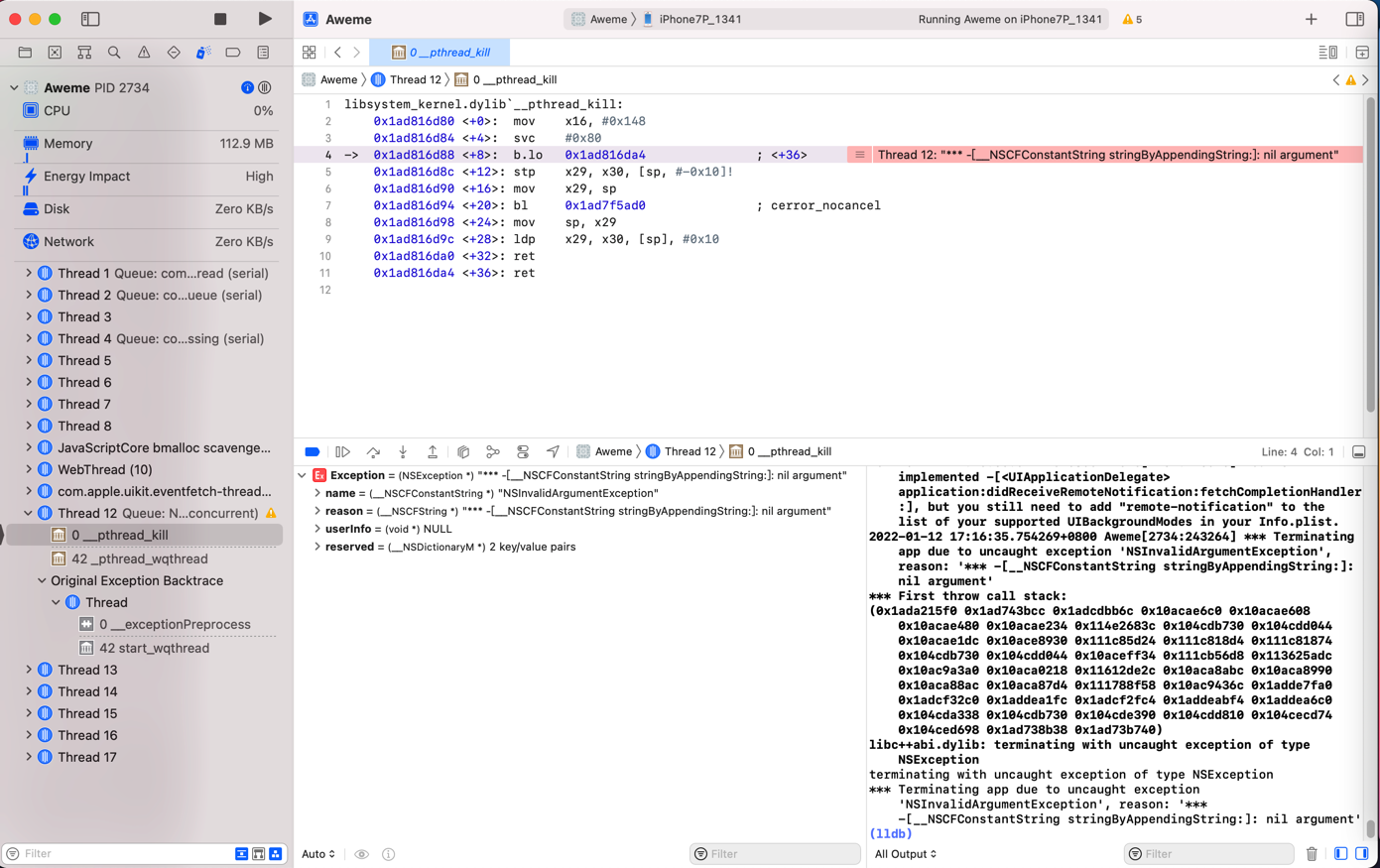 monkeydev_crash_nscfconstantstring_stringbyappendingstring_nil_argument