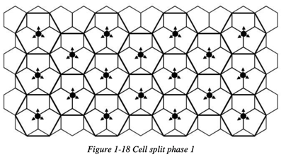 split_cell_phase_1