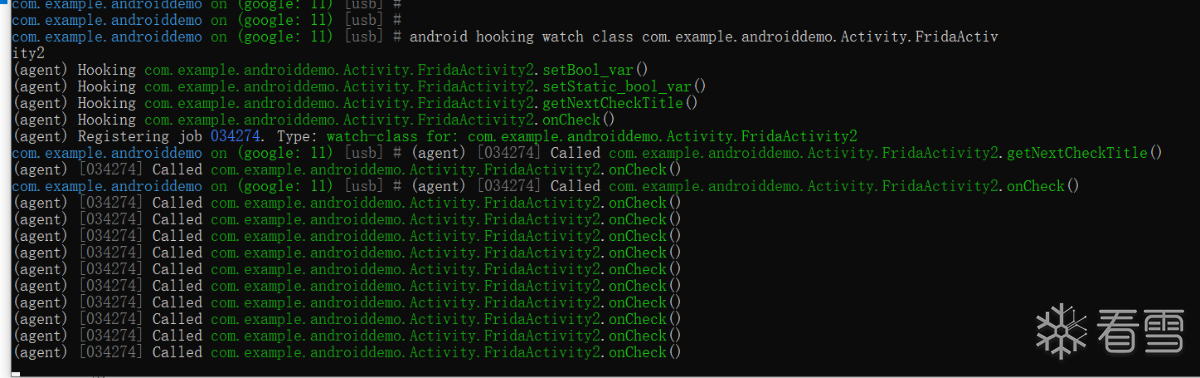 objection_hook_class_fridaactivity2