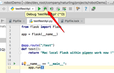 pycharm_debug_button