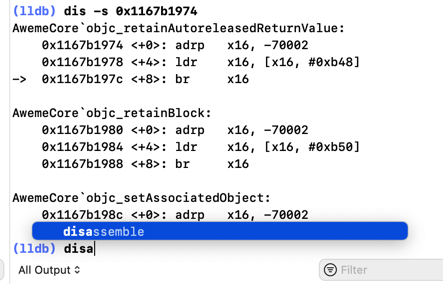 lldb_autocomplete_disa_full