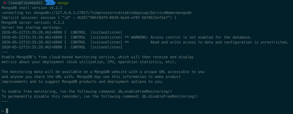 mongo_shell_screenshot