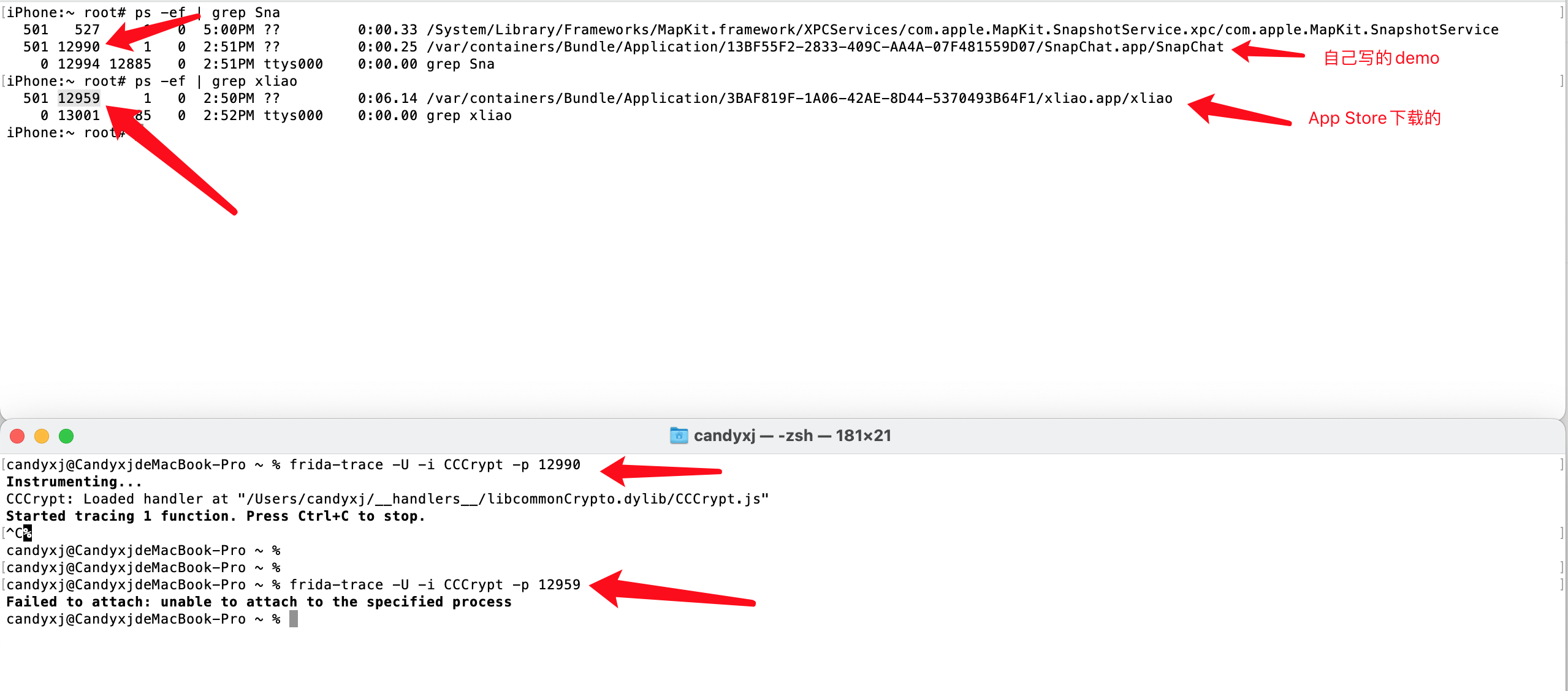 failed_to_attach_unable_to_attach_to_the_specified_proces