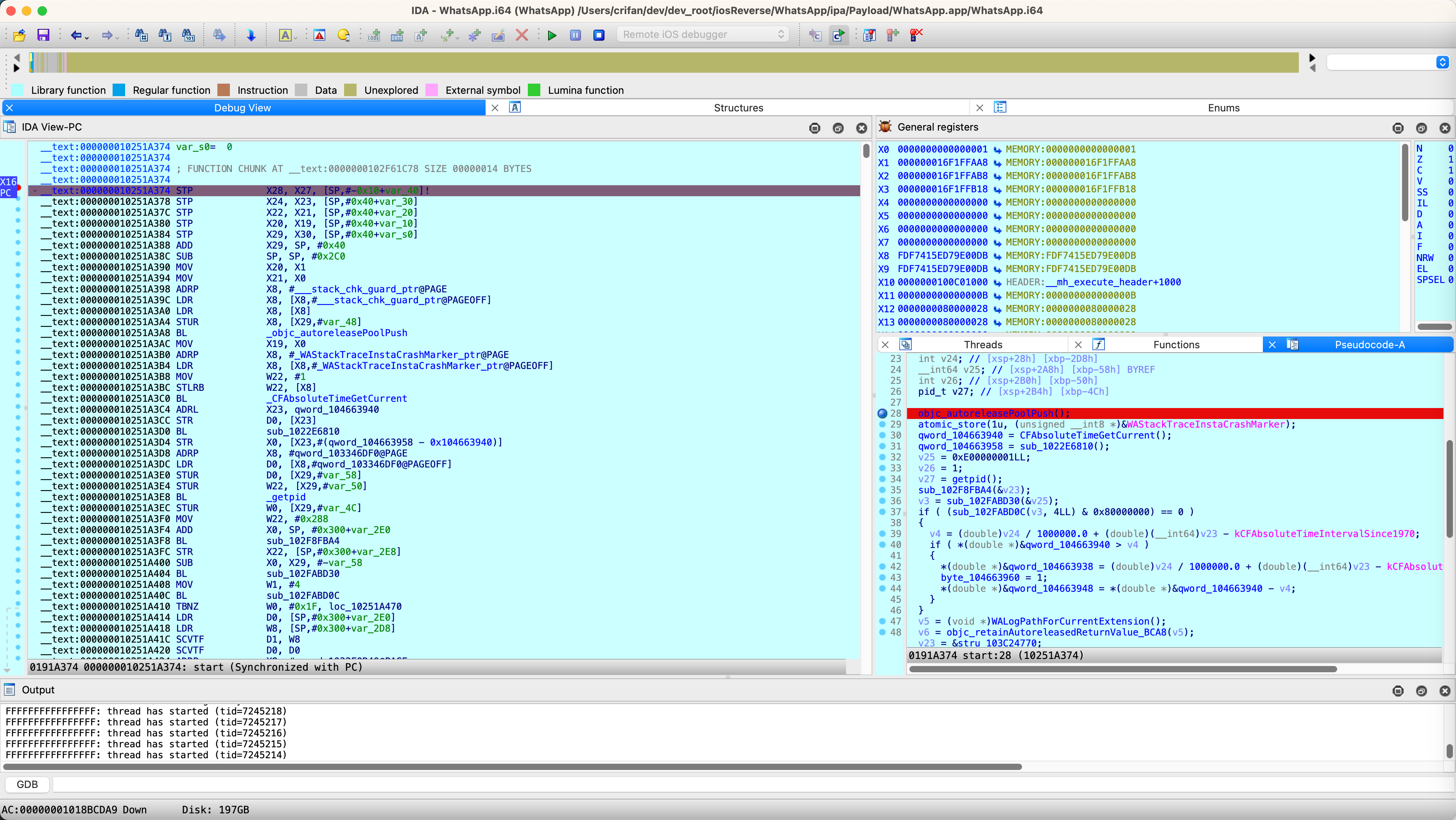 ida_debug_ws_auto_analysis