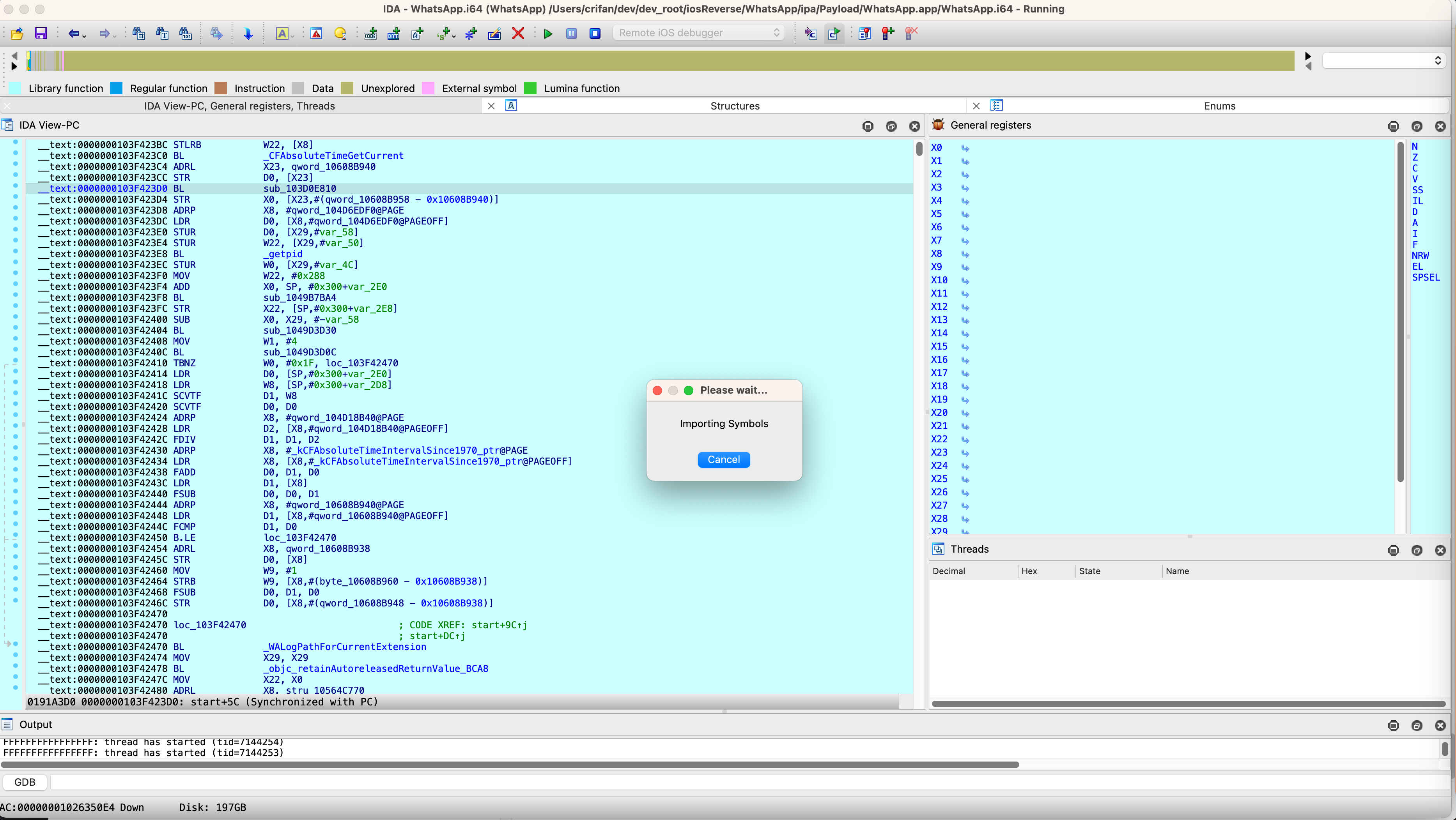 ida_debug_ws_importing_symbols