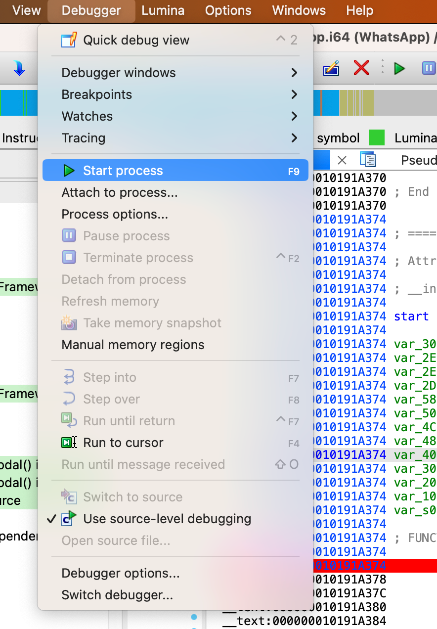 ida_debugger_start_process